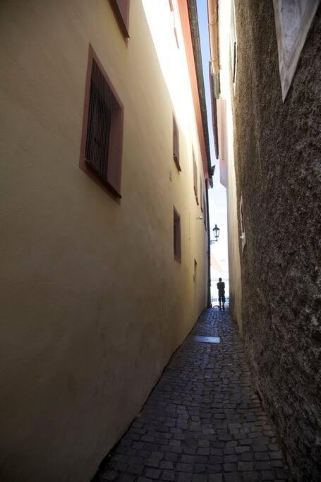 Unesco 14 Century Czeski Krumlow Zewnętrze zdjęcie
